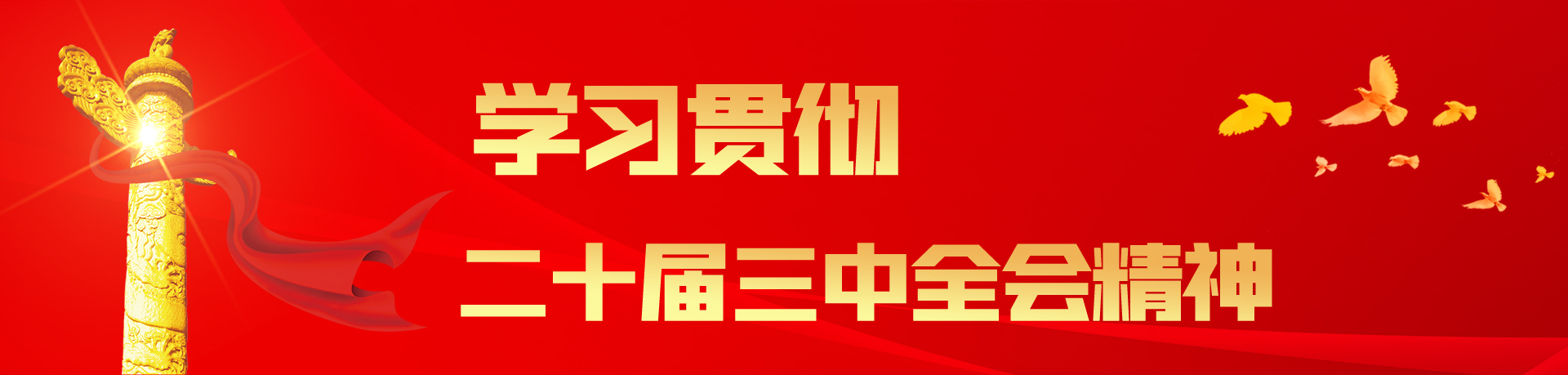 學(xué)習二十屆三中(zhong)全會精(jīng)神